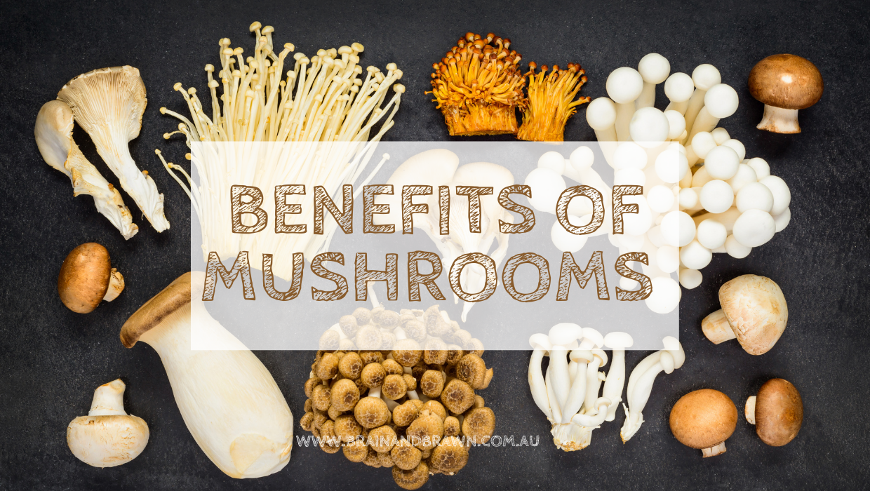 Benefits of Mushrooms – Brain and Brawn Sydney